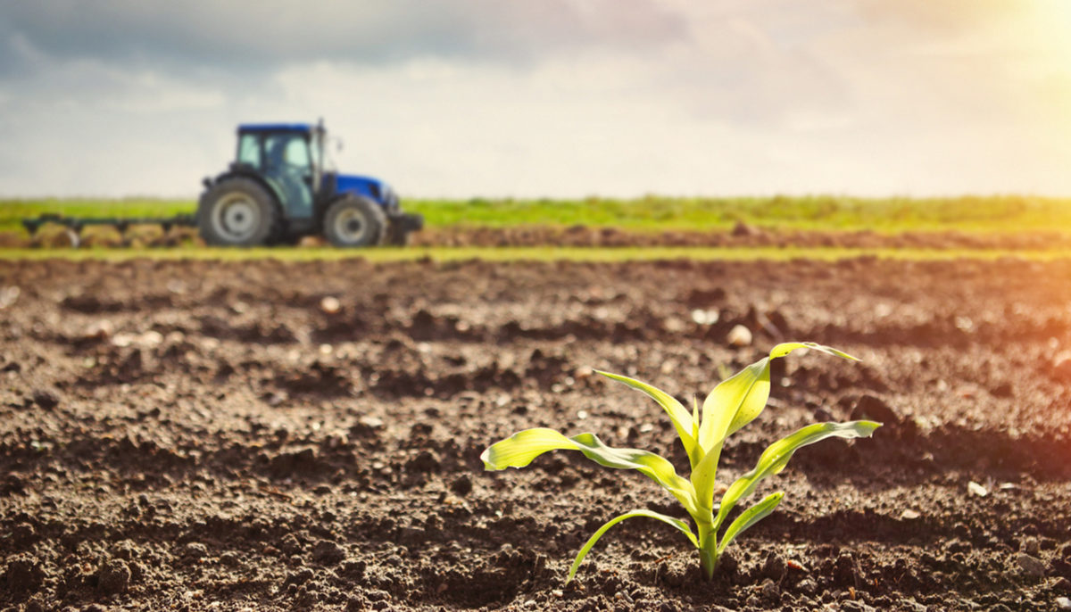 Produire Bio : une démarche engagée