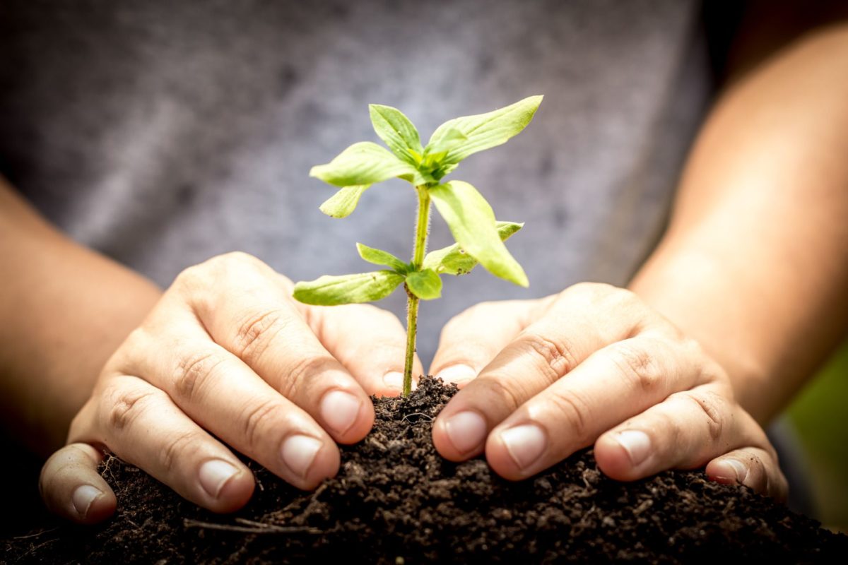 d’aucy et ses adhérents engagés dans l’agroécologie