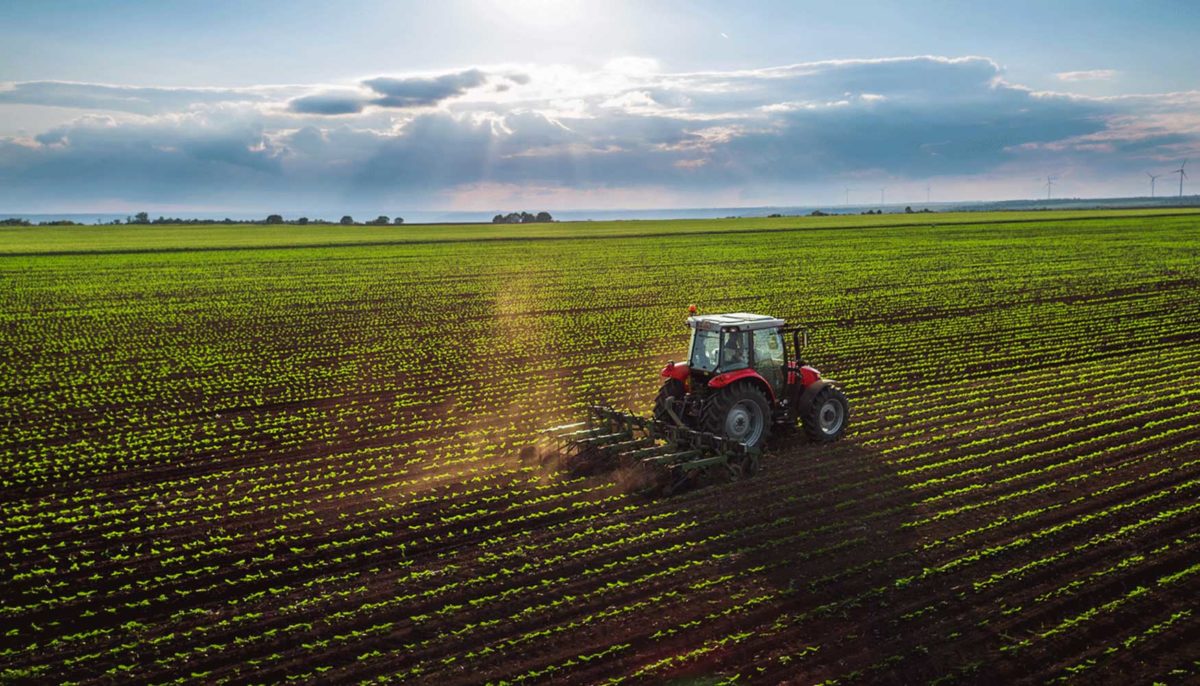 Une piste à suivre pour acheter du Bio français : la coopérative !