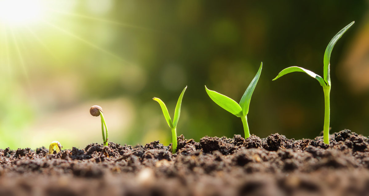 d’aucy, des légumes et des œufs en phase avec la 5e transition alimentaire