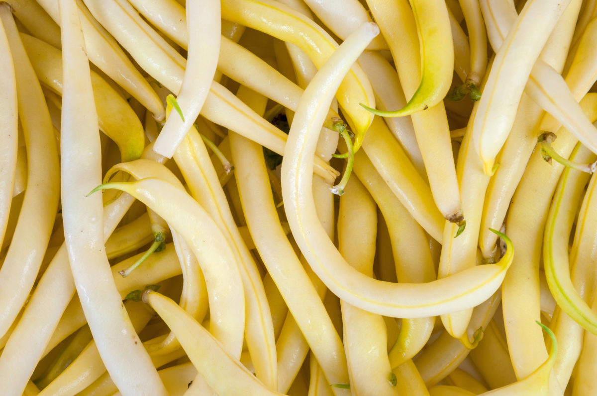 Yellow beans background