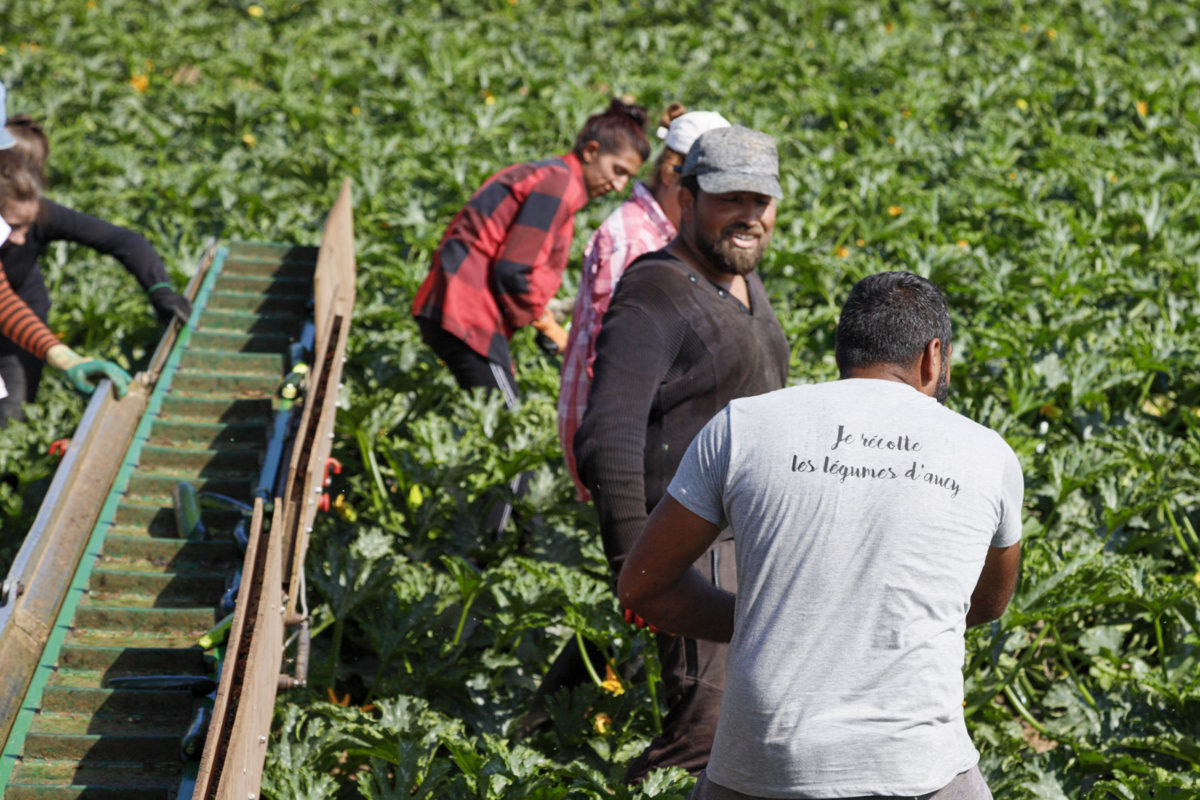 La transition alimentaire, un défi humanitaire