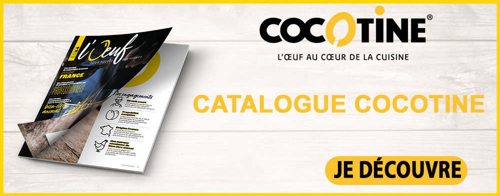 cta-Catalogue-Cocotine-trame